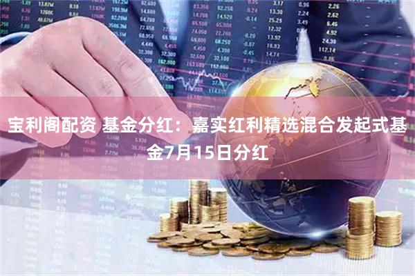宝利阁配资 基金分红：嘉实红利精选混合发起式基金7月15日分红